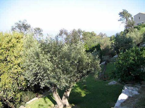 Villa Alamp#Supercannes #Golfejuan #Cannes #Mediterraneanpanoramicview #Piscine #Rooftop # Verymodern #Openliving #Closebeach #Closecapantibes Vallauris Exterior foto